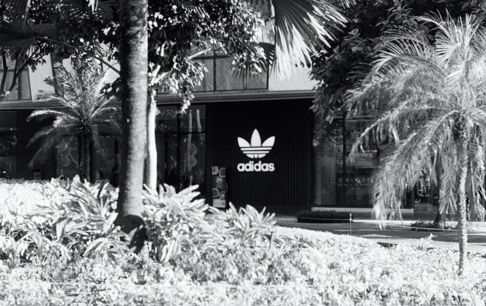 Adidas 2024 store tumblr